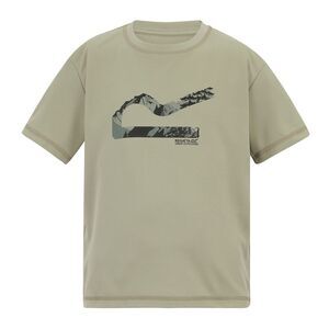 Regatta Childrens/Kids Alvarado Back Print T-Shirt / Abbeystone